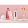 L&L Skin – VIA multifunktsionaalne seade naha pinguldamiseks ja noorendamiseks